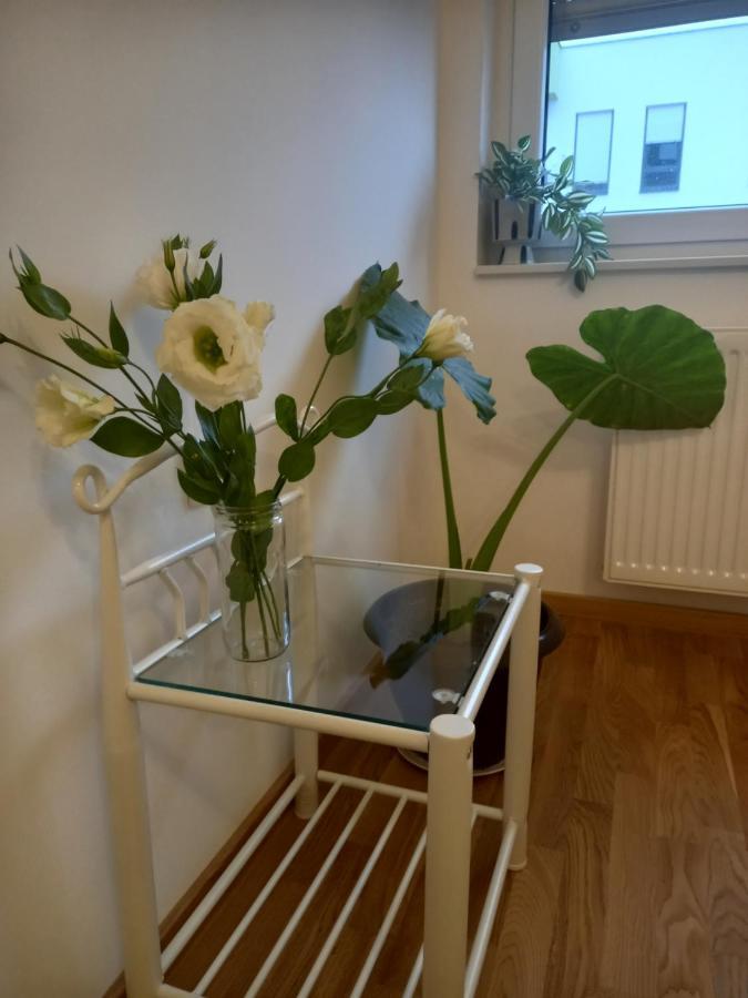 Avenija Oaza Apartman Újvidék Kültér fotó