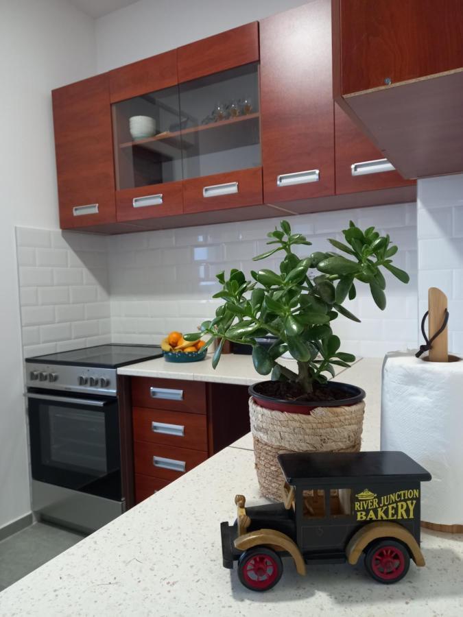 Avenija Oaza Apartman Újvidék Kültér fotó